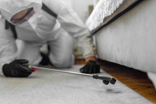 Professional Bed Bug Control technician working in Commercial Point, OH
