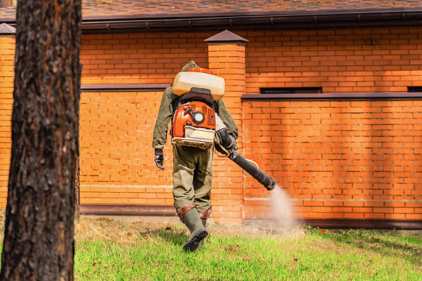 Top rated local Bed Bug Control specialists in Commercial Point, OH